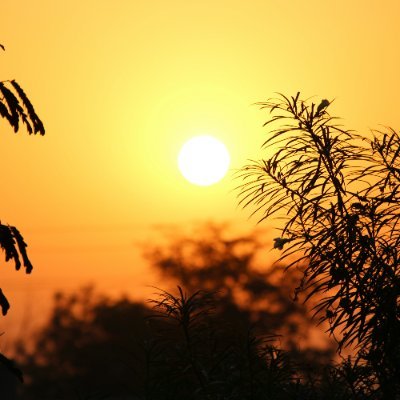 ujjgautamm's profile picture. Learner