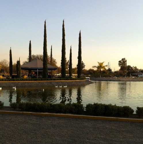 marabebe's profile picture. 