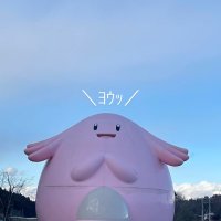 のーとん🐟 (@ntn_n810) 's Twitter Profile