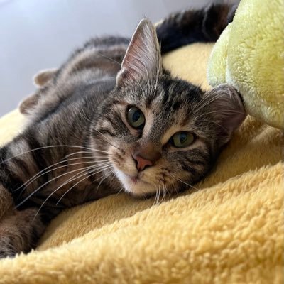 beatrix_Orlov's profile picture. "En fait, je n'ai qu'une prétention, c'est de ne pas plaire à tout le monde. Plaire à tout le monde, c'est plaire à n'importe qui » Sacha Guitry