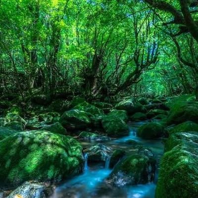 wakimizu3537's profile picture. ゲームが好きです!やっているゲームは、バウンティ、ぷにぷに、モンスト、グラクロあたりですね〜