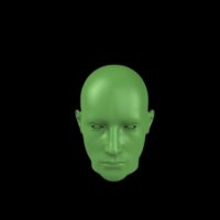 MrGreen-King (@mrgreenpage) 's Twitter Profile