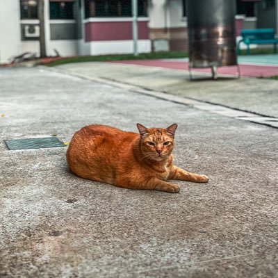 H1tman6666's profile picture. Photographer