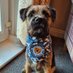 Wee Ziggy CBE little bro of beloved๐Baxter Boo ๐ค (@baxterboobt) Twitter profile photo Wee Ziggy CBE little bro of beloved๐Baxter Boo ๐ค (@baxterboobt) Twitter profile photo