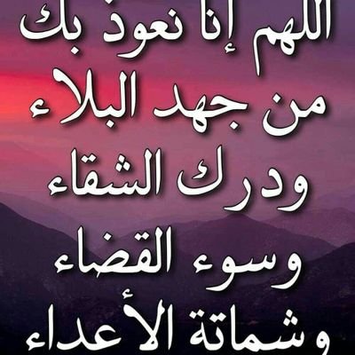 sayed0554232999's profile picture. 
