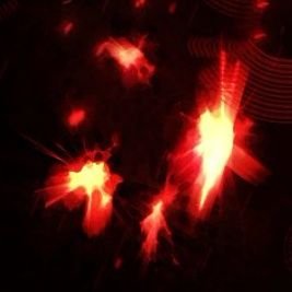 Elatedsquire135's profile picture. I don't know what to put here so sorry