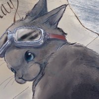 黒うさぎはお仕事ON期 (@hooren_usagi) 's Twitter Profile