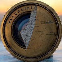 Palestine Zoom (@palestinezoom) Twitter profile photo