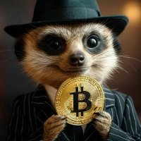 Mr. DonBitcoin (@mrdonbitcoin) 's Twitter Profile
