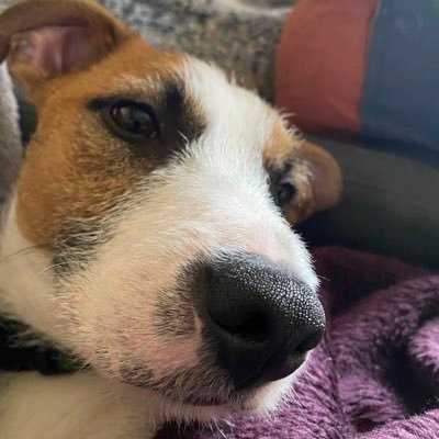 EyeFeelGood's profile picture. 手を取り合って このままでいこう 愛する人よ 静かな宵に 光を灯し 愛しき教えを抱き