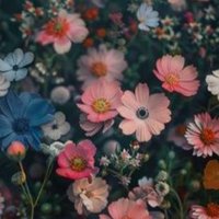Dorota Staszel (@wnuk88526) 's Twitter Profile