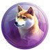 Sholana (@sholana_sol) Twitter profile photo Sholana (@sholana_sol) Twitter profile photo