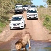 भीम आर्मी ब्लॉक संयोजक तरबगंज गोण्डा उ०प्र० (@rajeshchau63718) 's Twitter Profile