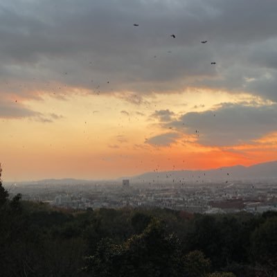 kj_goi's profile picture. 