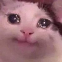 Kazım (@kazm96166966) Twitter profile photo