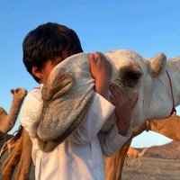 سالمّ 🌷 (@slom_t7) Twitter profile photo