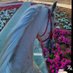 سعادتي ذكر الله 🥀 (@m8292mar6) Twitter profile photo سعادتي ذكر الله 🥀 (@m8292mar6) Twitter profile photo