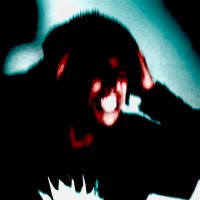 FOURSEASNS (@fourseasn) 's Twitter Profile