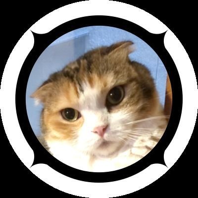 邪魔ジョーさんのプロフィール画像