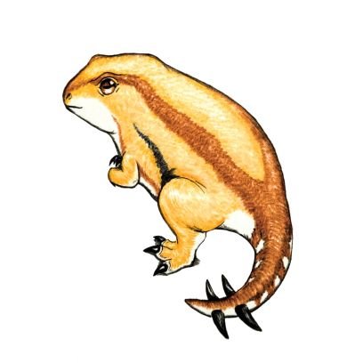 通りすがり吠え声を発する愚か者。
イラスト、古生物、現代生物、創作のアカウント。
イラストの無断転載はお断りします。
看板古生物→https://t.co/PRVOsLJKj6
ファンアート #フクラアト