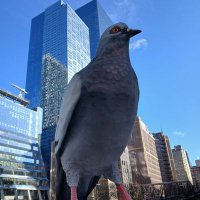 Flo2nyc (@flo2nyc) 's Twitter Profile