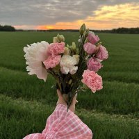 Masalımsı (@dijitallgunluk) Twitter profile photo