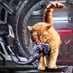 jonesy (@boopdesnoot) Twitter profile photo jonesy (@boopdesnoot) Twitter profile photo