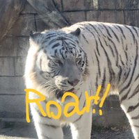 TA KA (@taka89272414) 's Twitter Profile