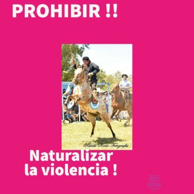 Pido a legisladores, y todos los gobiernos que no promocionen espectáculos con animales. Que se enseñe a no naturalizar la violencia.