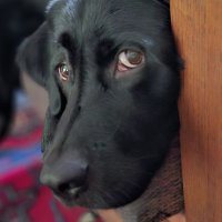 Nico Praat (@nicopraat) 's Twitter Profile Photo Nico Praat (@nicopraat) 's Twitter Profile Photo