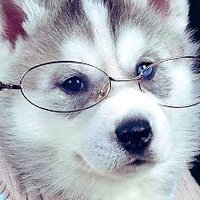 ์น์ฆ๊ฐ์ฅ๐ฅ (@noneugdae) 's Twitter Profile