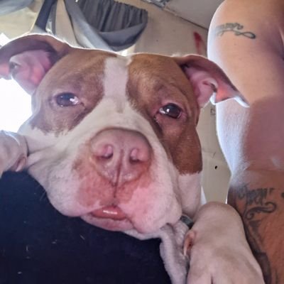 R_top999's profile picture. 