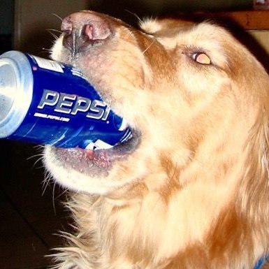 PLEWASE DONT MAKE ME GET A JOB