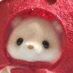 Boboo (@boboobaba215) Twitter profile photo Boboo (@boboobaba215) Twitter profile photo