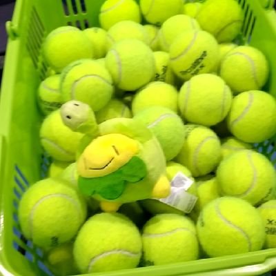 zakkyuri0715's profile picture. 