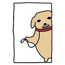 minkozuさんのプロフィール画像