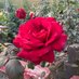 vinay srivastava (@vinays71) Twitter profile photo vinay srivastava (@vinays71) Twitter profile photo