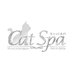 ðââ¬CATSPAðâ⬠(@llashshd) Twitter profile photo ðââ¬CATSPAðâ⬠(@llashshd) Twitter profile photo