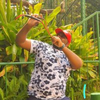Clemence Manjengwa (@pastorclemencem) 's Twitter Profile Photo Clemence Manjengwa (@pastorclemencem) 's Twitter Profile Photo