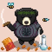 pluxurynmd.🐻⛓️ (@pluxurynmd) 's Twitter Profile