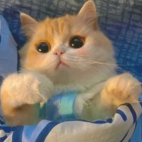 天天大赛 (@yumimeizi) 's Twitter Profile Photo 天天大赛 (@yumimeizi) 's Twitter Profile Photo