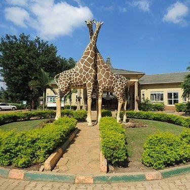 Colonel63955024's profile picture. Kutaka bikuio kwanjuzi