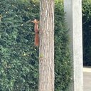 Frank Weller - @thebesttimeis25 - Twitter