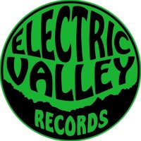 ELECTRIC VALLEY (@electric_valley) 's Twitter Profile