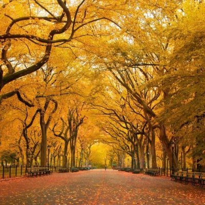 dazaojingcai's profile picture. 用心做事，用心做人！