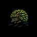 Molten Economy (@molteneconomy) Twitter profile photo Molten Economy (@molteneconomy) Twitter profile photo