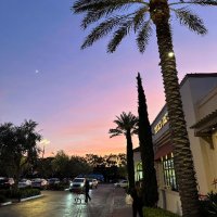 ShamStar (@shamrytu) 's Twitter Profile