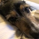 Jack Dee - @JackDee354 - Twitter