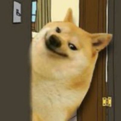 thugdood's profile picture. Trust The Process