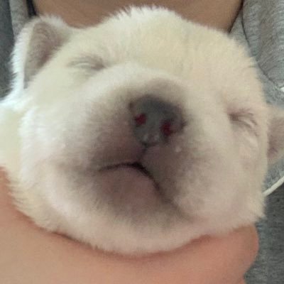삭제 안 됐거나 멘션 없으면 거래 가능, 거래 완료 되면 답 안 드려요… / 한국 주소만 거래